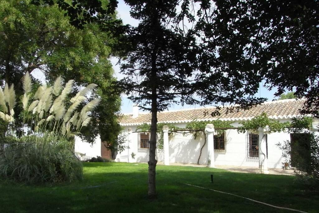 Casa El Carmen Βίλα Σιουδάδ Ρεάλ Εξωτερικό φωτογραφία