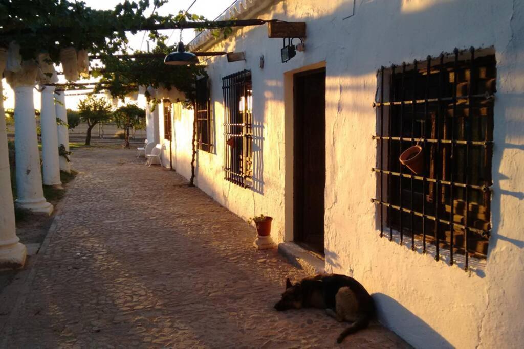 Casa El Carmen Βίλα Σιουδάδ Ρεάλ Εξωτερικό φωτογραφία