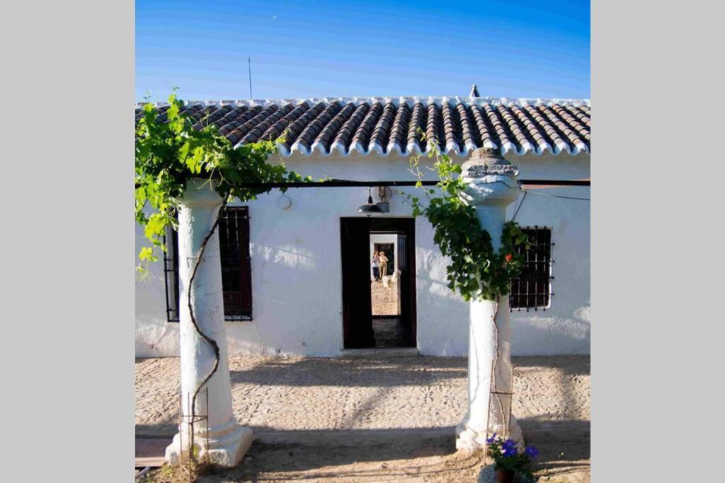 Casa El Carmen Βίλα Σιουδάδ Ρεάλ Εξωτερικό φωτογραφία