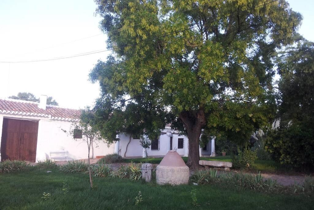 Casa El Carmen Βίλα Σιουδάδ Ρεάλ Εξωτερικό φωτογραφία